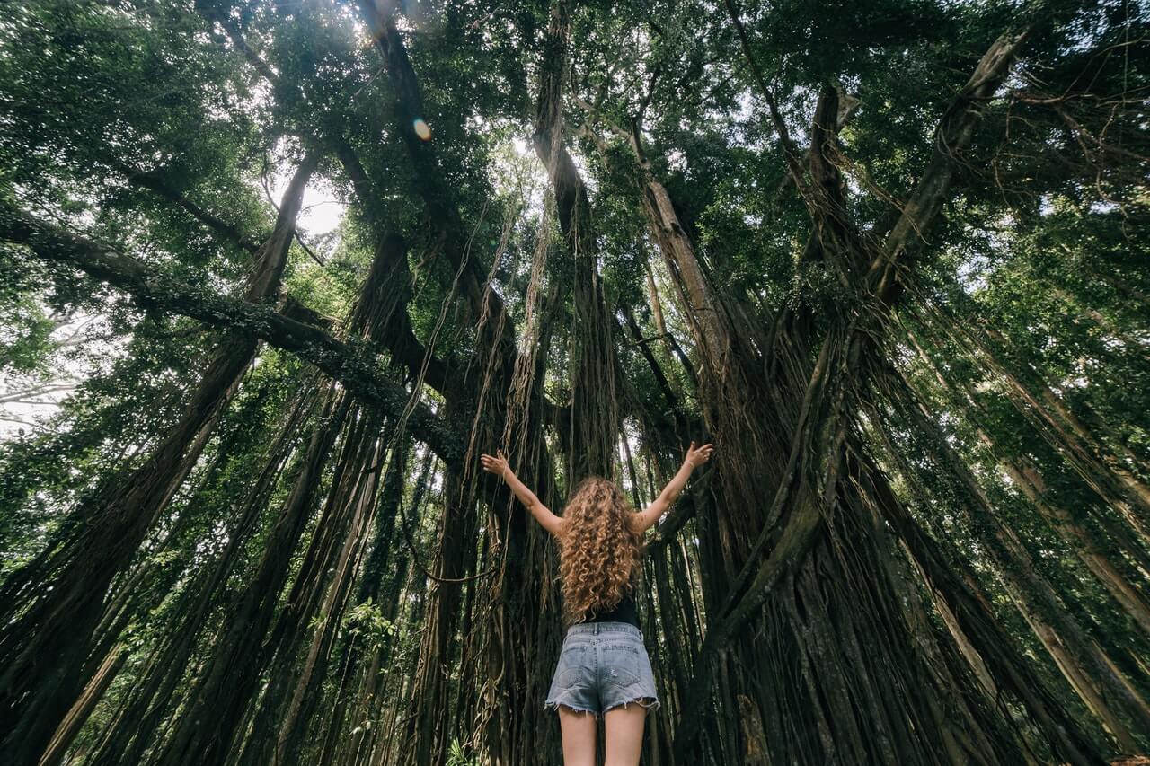 How to ensure the safety of woods hiking?