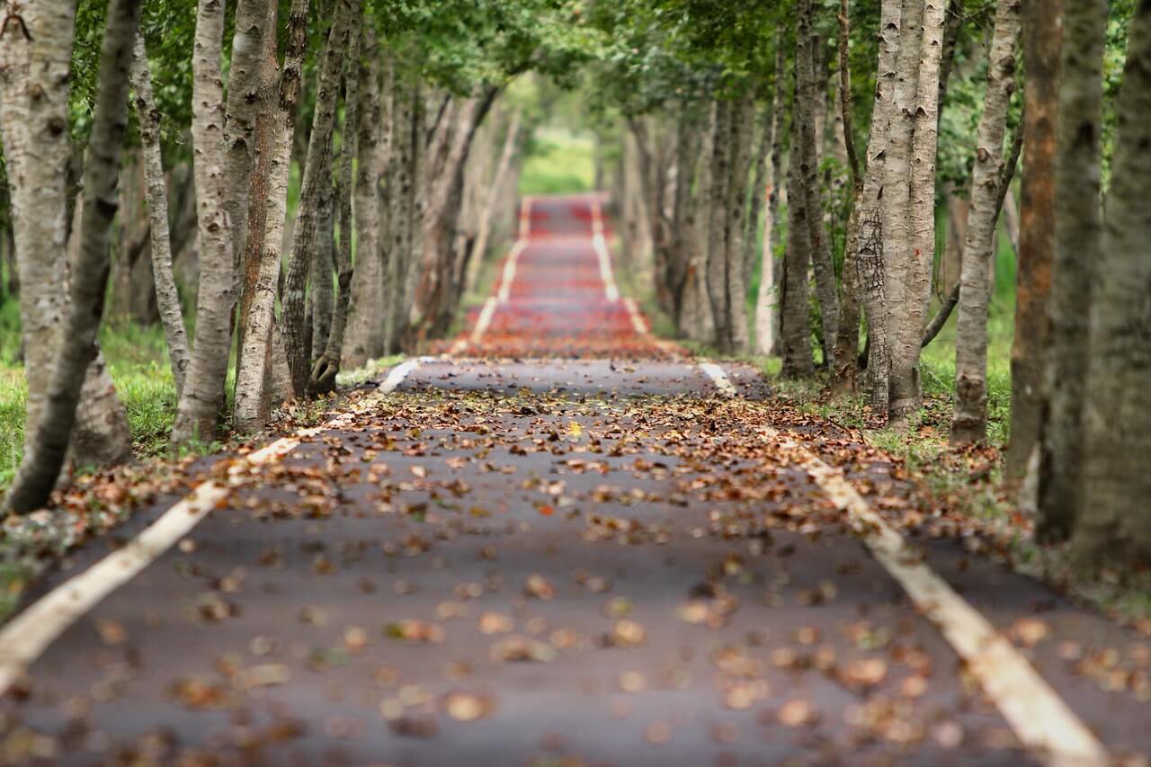 The outdoors, for body and mind