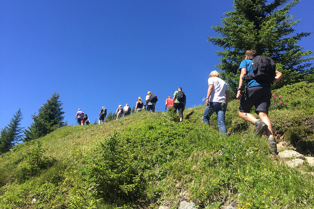 Hiking technique in the mountains